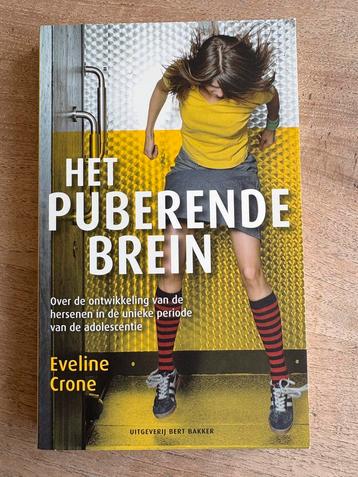Eveline Crone - Het puberende brein beschikbaar voor biedingen