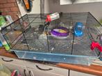 Hamsterkooi met toebehoren., Dieren en Toebehoren, Kooi, Minder dan 75 cm, Zo goed als nieuw, Ophalen