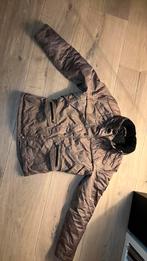 Pikeur paardenjas kort, Dieren en Toebehoren, Paardrijkleding, Gebruikt, Dressuur, Ophalen of Verzenden, Dames