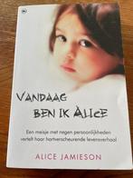 Vandaag ben ik Alice - alice jamieson, Ophalen of Verzenden, Zo goed als nieuw, Alice jamieson