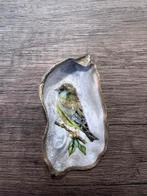 Oesterschelpje met Groenling, Ophalen of Verzenden, Schelp(en)