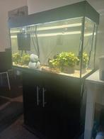 Aquarium juwel, Dieren en Toebehoren, Vissen | Aquaria en Toebehoren, Ophalen, Zo goed als nieuw, Overige typen