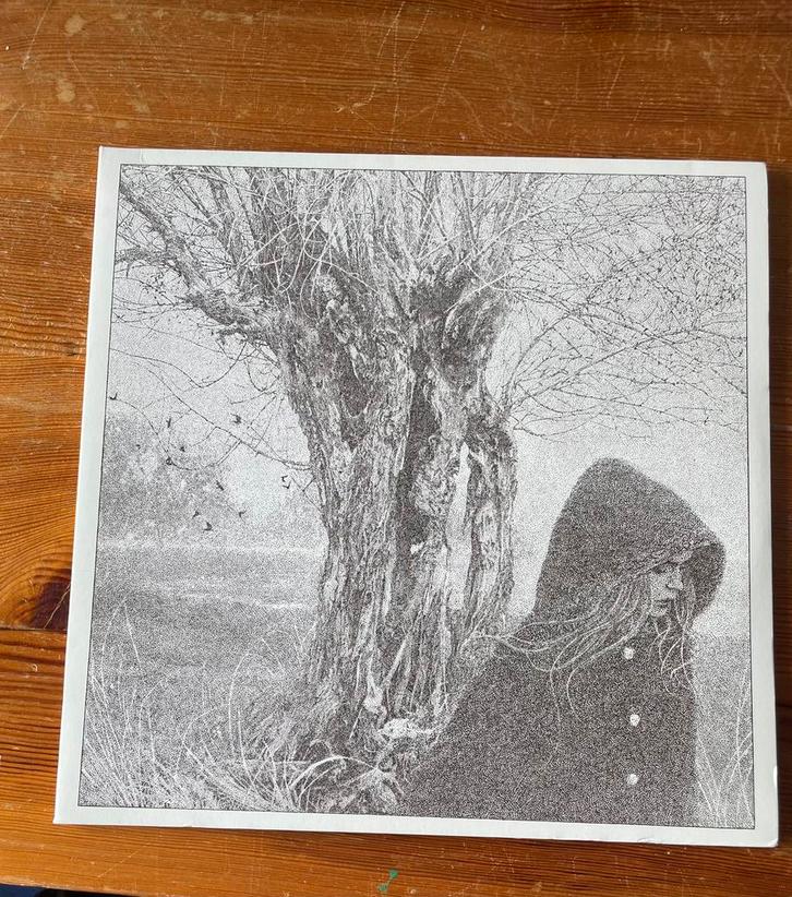 Lankum Between The Earth And Sky 2LP rare silver edition, Cd's en Dvd's, Vinyl | Rock, Zo goed als nieuw, Alternative, 12 inch