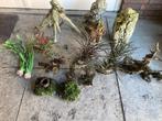 Aquarium ornamenten, Ophalen of Verzenden, Gebruikt, Sierelement