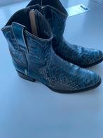 Sendra met python tekoop, Blauw, Ophalen of Verzenden, Zo goed als nieuw, Sendra