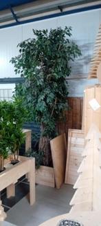 hoge kunstplant circa 300cm!! opruimen showroom, Ophalen, Gebruikt