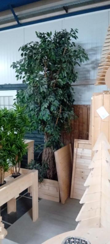 hoge kunstplant circa 300cm!! opruimen showroom beschikbaar voor biedingen