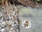 Leisteen, Tuin en Terras, Tegels en Klinkers, Ophalen, Gebruikt, Overige typen, Natuursteen