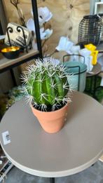 Nieuw kunstplant cactus, Ophalen of Verzenden, Nieuw