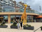 Legoland Scheveningen Ticket - 2 tot 17 jaar alleen vandaag!, Tickets en Kaartjes, Eén persoon, Ticket of Toegangskaart