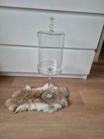 Glazen Stolp met Voet - 50cm, Overige materialen, 50 tot 75 cm, Overige kleuren, Ophalen of Verzenden