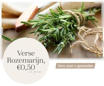 Verse Rozemarijn - Kruiden, voor slechts €0,50 beschikbaar voor biedingen