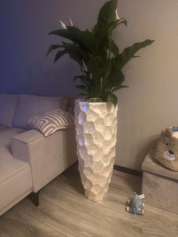 Schelpen Vaas beschikbaar voor biedingen