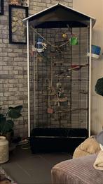 4 grasparkieten met kooi en toebehoren, Dieren en Toebehoren, Vogels | Parkieten en Papegaaien, Mannelijk, Parkiet