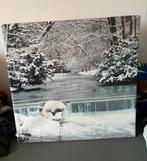 Mooie Foto Frame met Winterlandschap, Ophalen of Verzenden, Zo goed als nieuw, Foto of Poster, Minder dan 50 cm