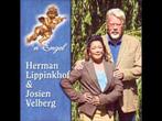Herman Lippinkhof & Josien Velberg - 'n Engel CD Single, 1 single, Ophalen of Verzenden, Nieuw in verpakking, Pop