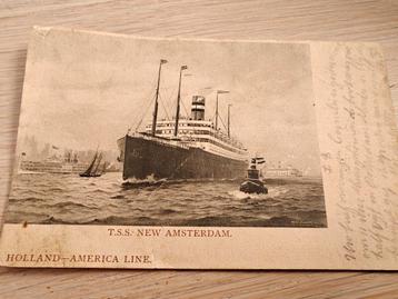 Wenskaart TSS New Amsterdam (1906-1932) beschikbaar voor biedingen