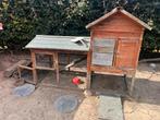 Kippenhok en kippen, Dieren en Toebehoren, Pluimvee, Meerdere dieren, Kip