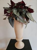 2 Aardewerk Bloempotten, Ophalen