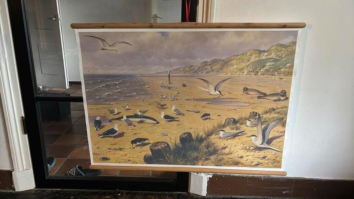 Oude Schoolplaat Koekkoek - Duinen en Strand, Antiek en Kunst, Kunst | Schilderijen | Klassiek, Ophalen of Verzenden