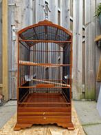 Neten kooi 6 maanden, Dieren en Toebehoren, Vogels | Overige Vogels, Meerdere dieren