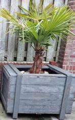 Houten bak / houten bloembak, Tuin en Terras, Ophalen, Tuin, Zo goed als nieuw, 60 tot 100 cm