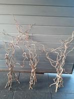 Kronkelhazelaar takken 1 tot 1.6 mtr 6 a7 takken per bos, Ophalen of Verzenden, Overige soorten, Volle zon