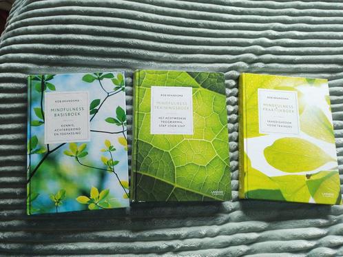 Mindfullness basis, training en praktijkboek - Rob brandsma, Boeken, Advies, Hulp en Training, Ophalen