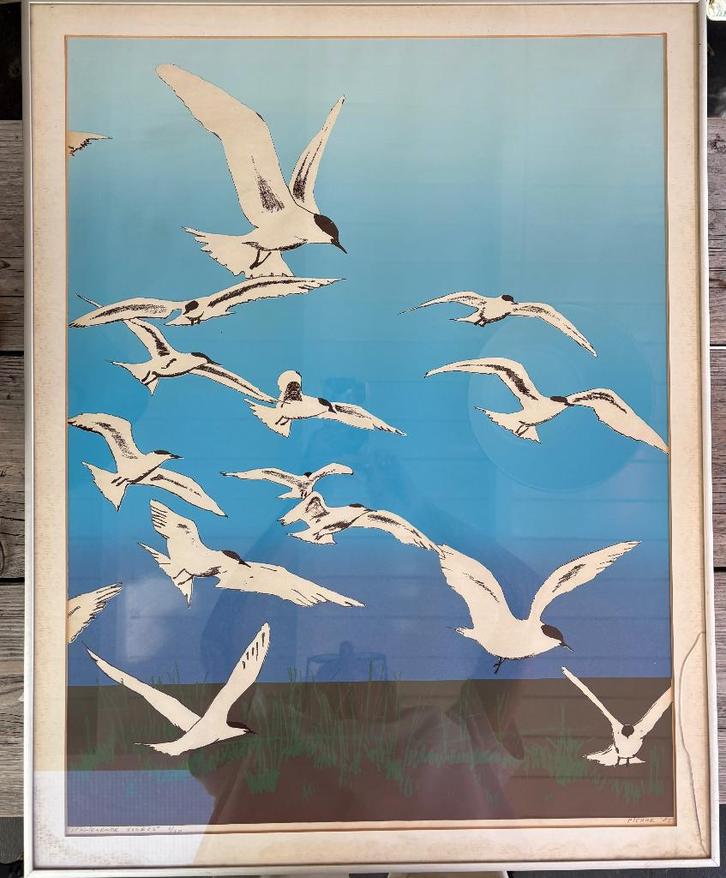 UNIEKE ZEEFDRUK " OPVLIEGENDE VOGELS" GESIGNEERD, Antiek en Kunst, Kunst | Litho's en Zeefdrukken, Ophalen of Verzenden