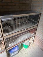 Kweekkooien, Dieren en Toebehoren, Ophalen, Gebruikt, Hout, Broedkooi of Kweekkooi