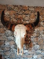 Buffel schedel, Huis en Inrichting, Ophalen of Verzenden, Zo goed als nieuw