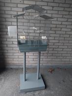 Vogelkooi op standaard met accessoires, Dieren en Toebehoren, Vogels | Hokken en Kooien, Ophalen, Zo goed als nieuw, Metaal, Vogelkooi