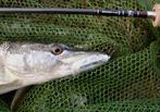 Snoekstreamers serie W voor vlieghengel en lichte spinhengel, Ophalen of Verzenden, Nieuw, Complete set