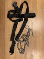 Hondenriem Trixie, Dieren en Toebehoren, Hondenriemen, Ophalen of Verzenden, Zo goed als nieuw