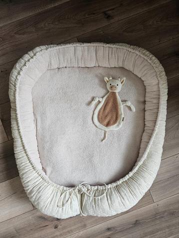 Babynestje tweeling beschikbaar voor biedingen
