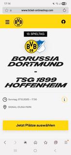 Borussia bvb Dortmund - tsg hoffenheim, Tickets en Kaartjes