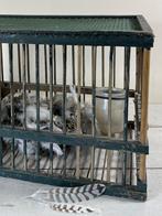 Vintage Frans groen houten vogelkooi met ruif en voerpotje, Antiek en Kunst, Curiosa en Brocante, Ophalen of Verzenden