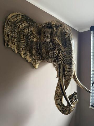Prachtige olifantenkop sculptuur xxl beschikbaar voor biedingen