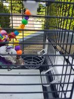 Mooie vogels kooi, Dieren en Toebehoren, Vogels | Hokken en Kooien, Ophalen of Verzenden
