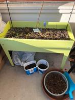 Gratis groen plant tafel, Ophalen, Zo goed als nieuw