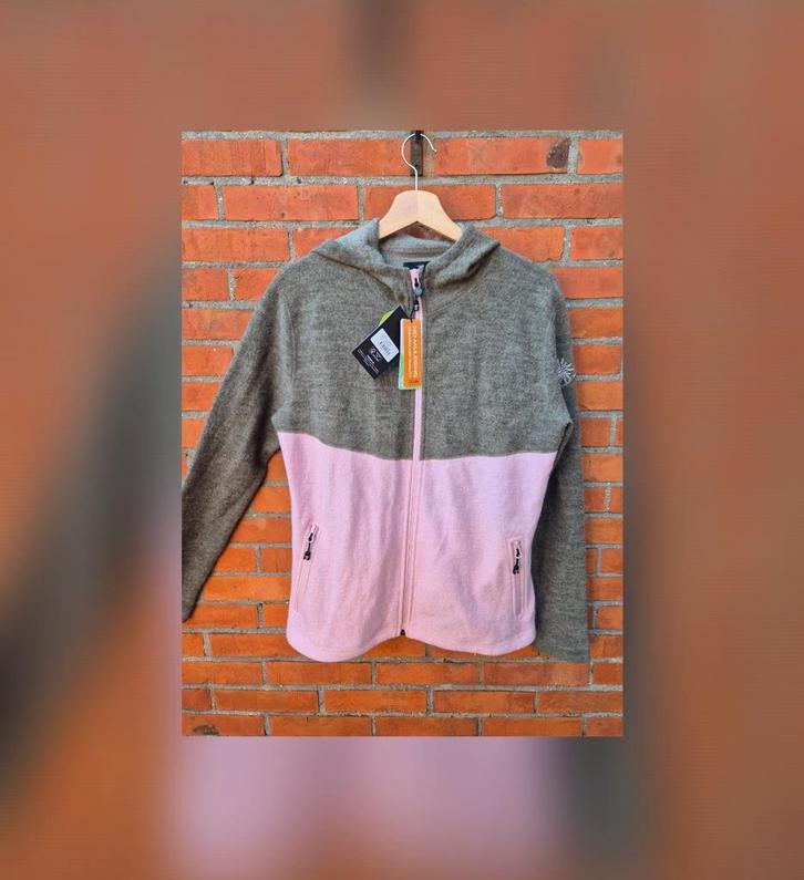 Ivanhoe of Sweden Kalla hood wollen trui vest, Kleding | Dames, Truien en Vesten, Nieuw, Maat 42/44 (L), Grijs, Ophalen of Verzenden