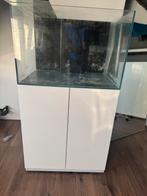 Zee aquarium 250l, Dieren en Toebehoren, Vissen | Aquaria en Toebehoren, Ophalen, Zo goed als nieuw, Leeg aquarium