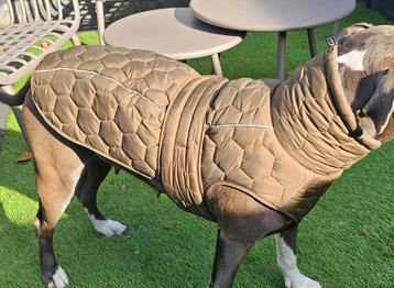 Honden jasje  beschikbaar voor biedingen