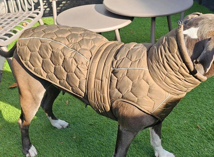 Honden jasje, Dieren en Toebehoren, Honden-accessoires, Zo goed als nieuw, Ophalen