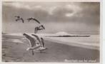 P936 oude ansichtkaart rustplaats aan het strand 1935, Ophalen of Verzenden, 1920 tot 1940, Gelopen, Natuur