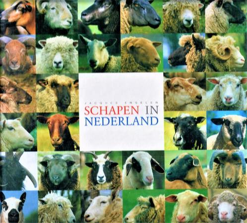 Schapen in Nederland - Jacques Engelen / 9789054390978, Boeken, Dieren en Huisdieren, Zo goed als nieuw, Vee, Ophalen of Verzenden