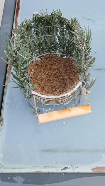 Nest voor wildzang beschikbaar voor biedingen