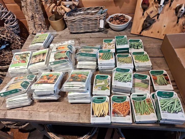 Grote Partij 1 zaden nu voor 250€, Tuin en Terras, Bloembollen en Zaden, Zaad, Voorjaar, Volle zon, Ophalen of Verzenden