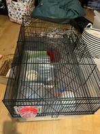 Hamsterkooi, met extra etage en benodigdheden, Dieren en Toebehoren, Kooi, Gebruikt, Minder dan 75 cm, Hamster