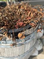 houten regenton, 75 tot 150 liter, Ophalen of Verzenden, Gebruikt, Hout